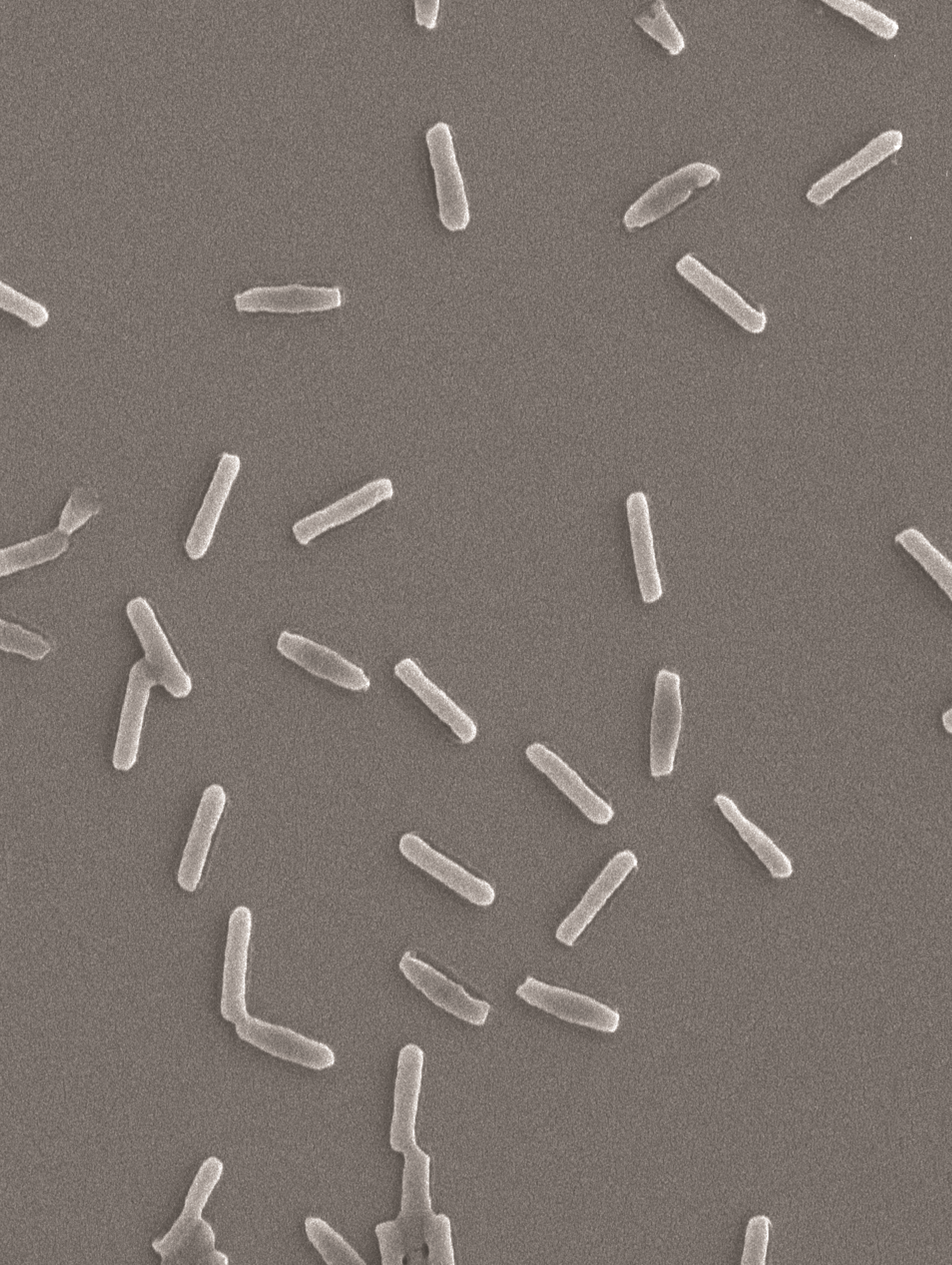 Issue cover image