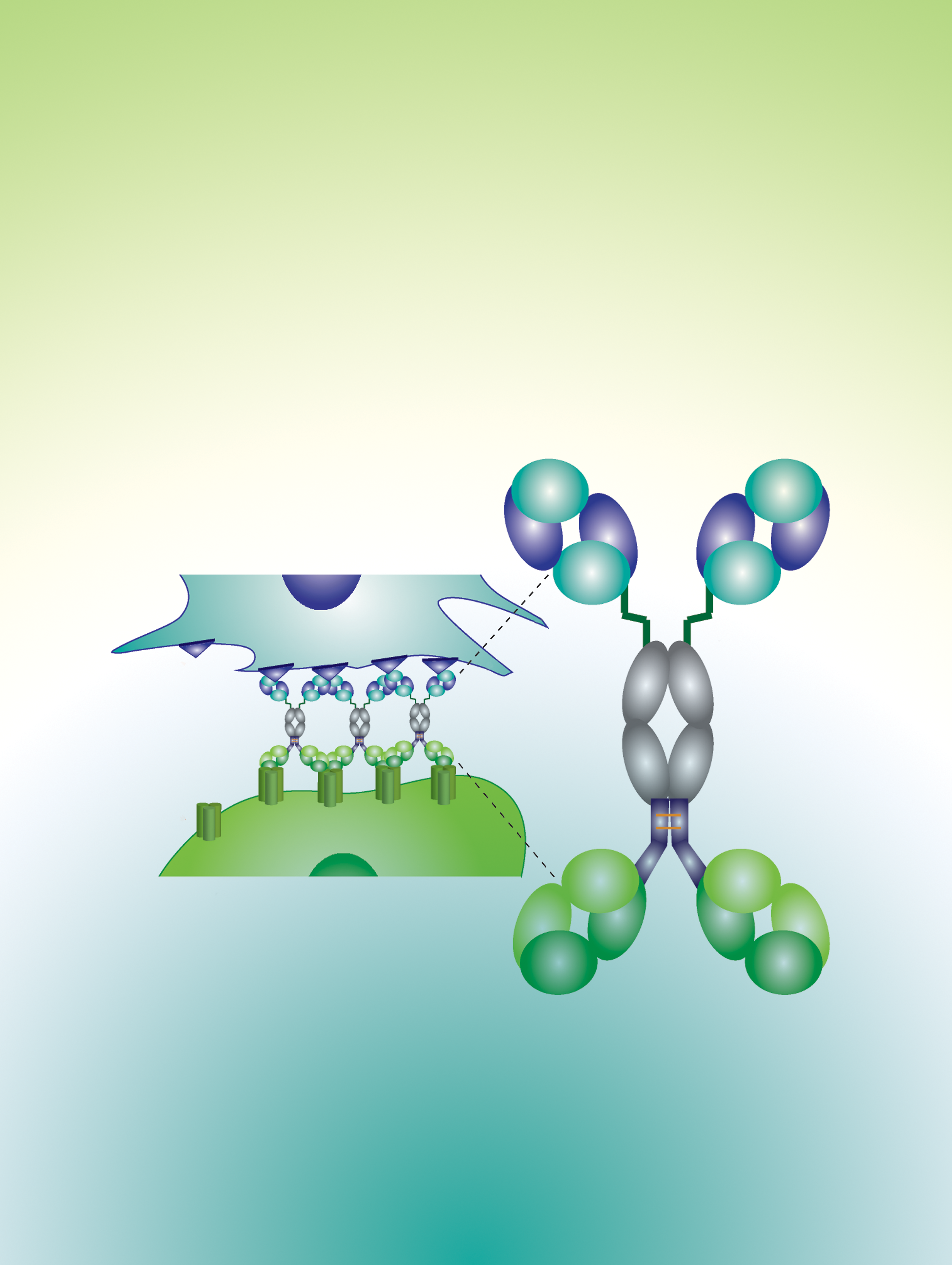 Issue cover image