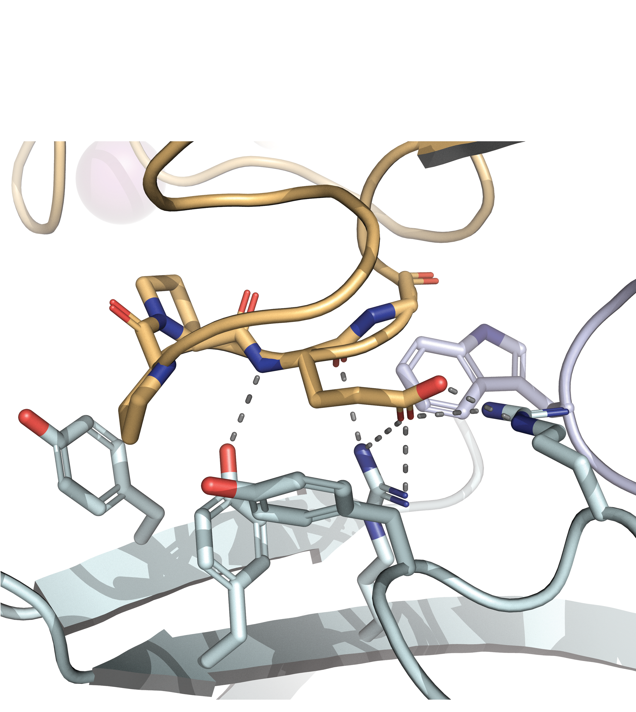 Issue cover image