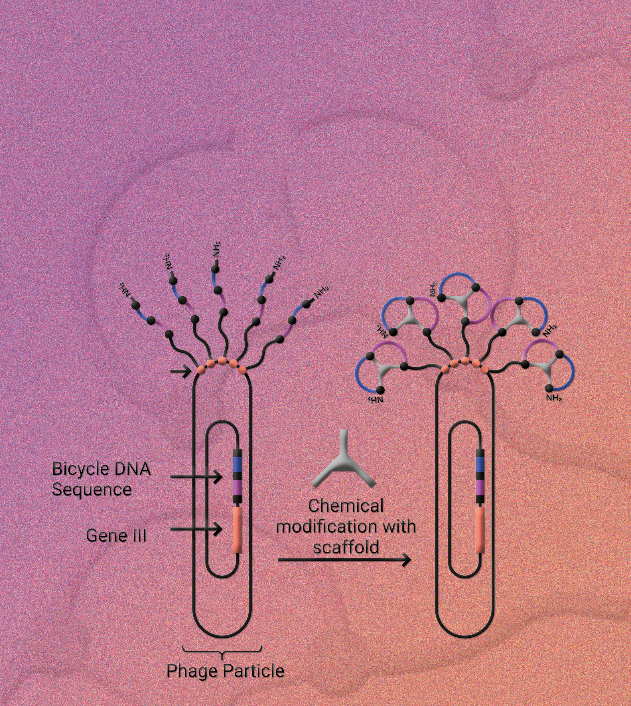Issue cover image