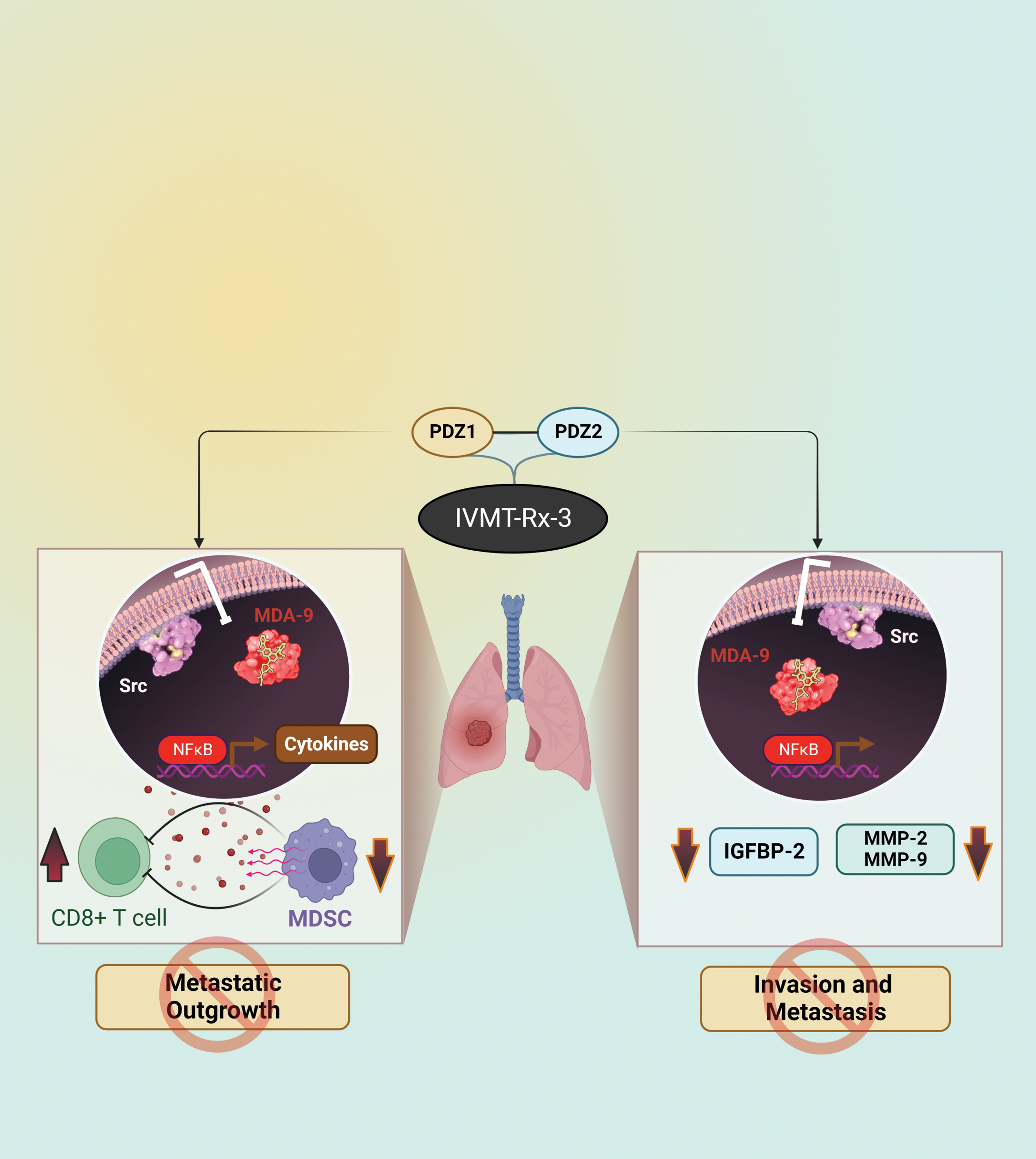 Issue cover image
