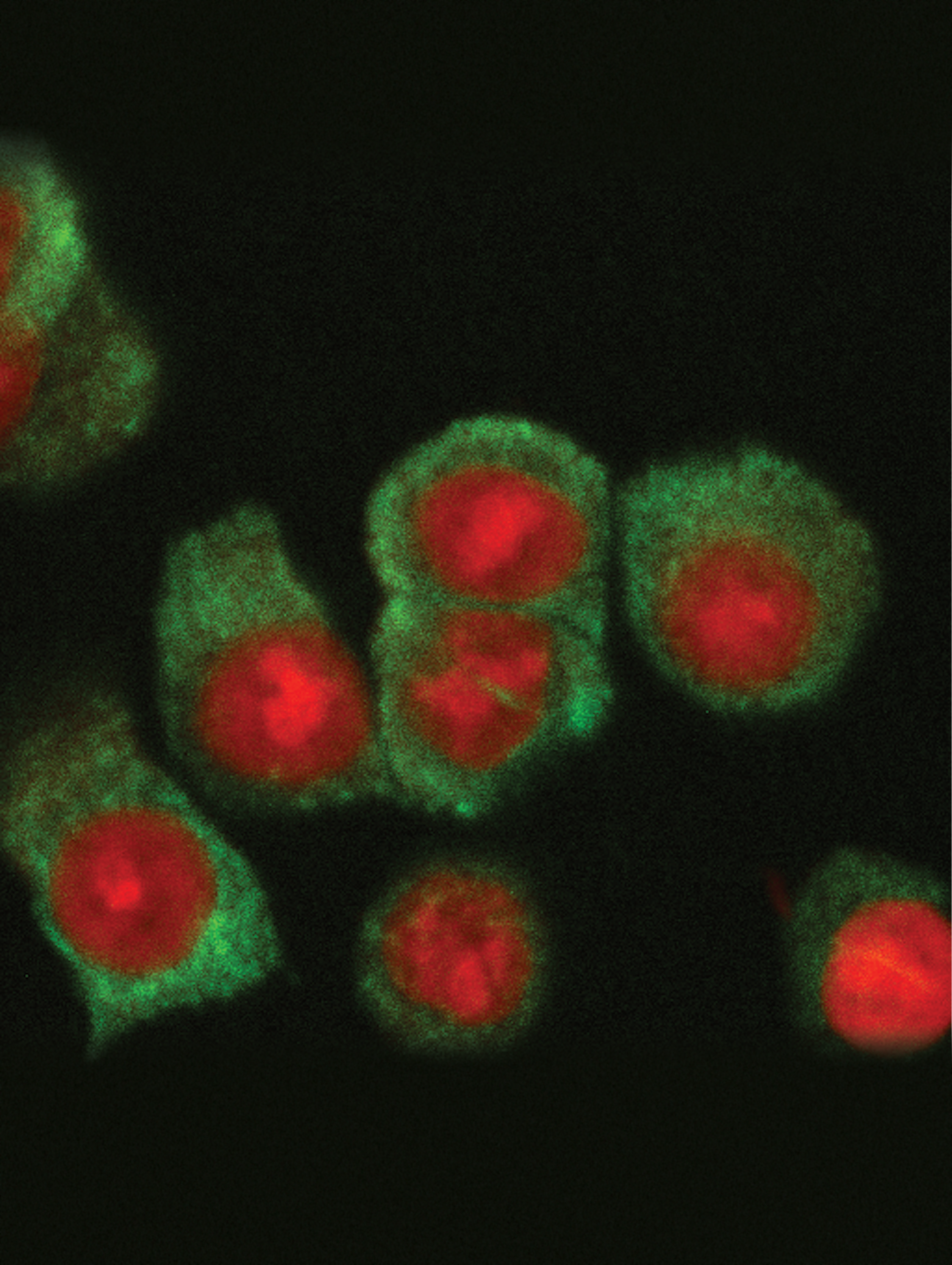 Issue cover image