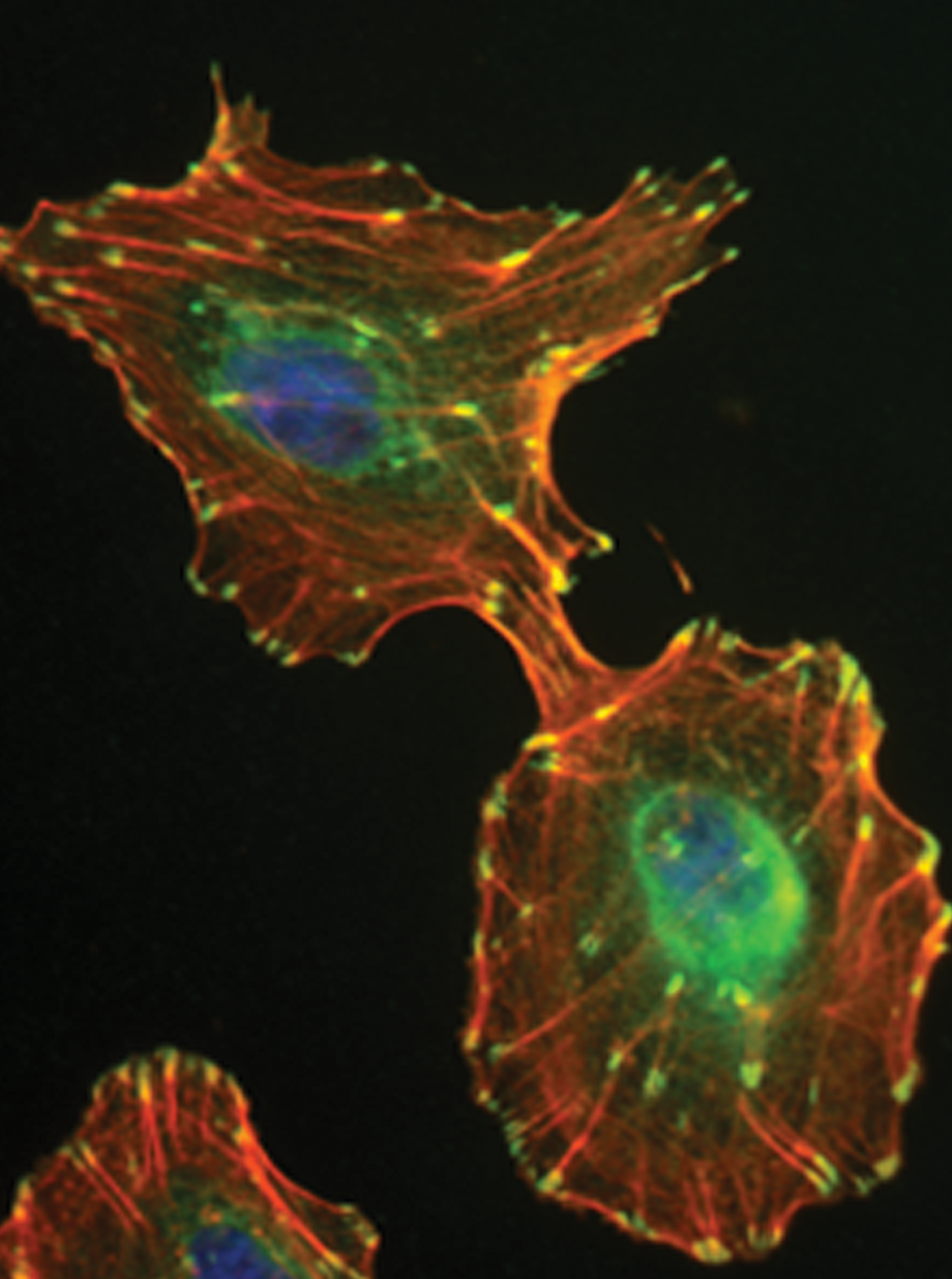 Issue cover image