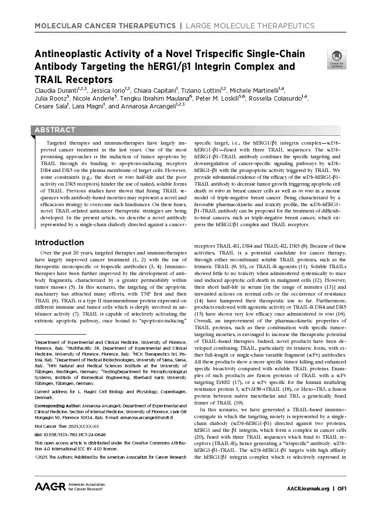 First page of Antineoplastic Activity of a Novel Trispecific Single-Chain Antibody Targeting the hERG1/β1 Integrin Complex and TRAIL Receptors<alt-title alt-title-type="short">TRAIL-Conjugated Antibody against hERG1/β1 Molecular Complex</alt-title>